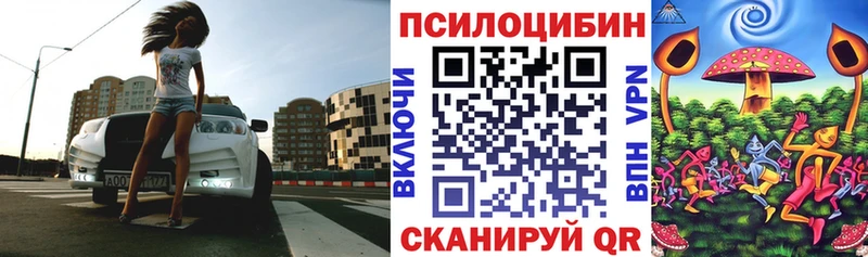 Псилоцибиновые грибы Psilocybine cubensis  где найти   Курганинск 