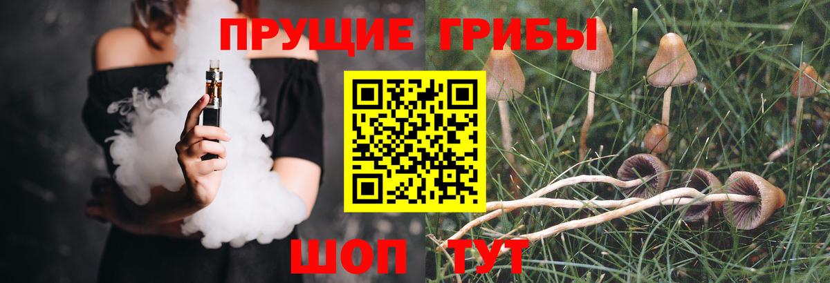 Галлюциногенные грибы ЛСД  Вход с VPN  Псилоцибиновые грибы мицелий  Курганинск 